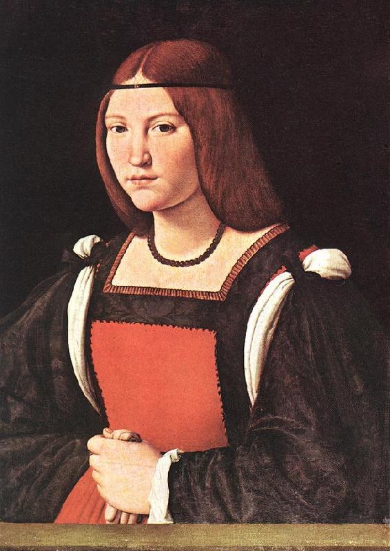 BOLTRAFFIO, Giovanni Antonio Portrait of a Young Woman 55 oil painting picture